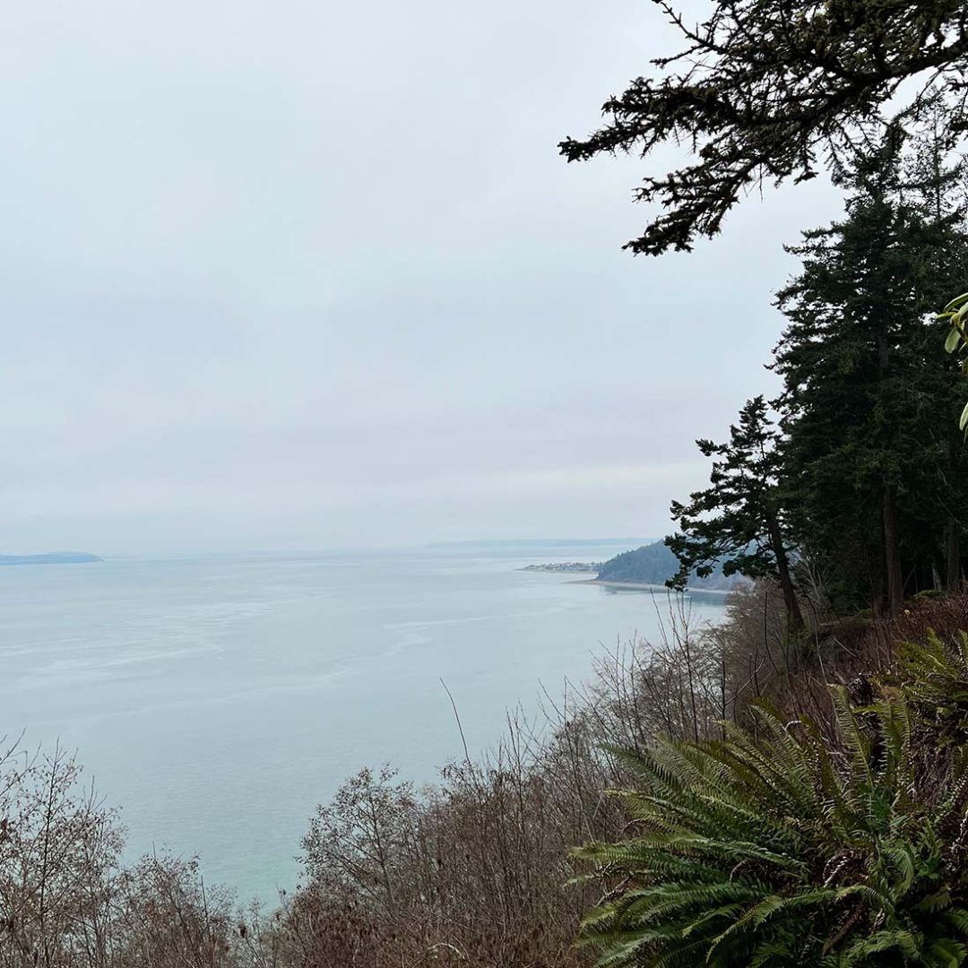 The Seattle coast